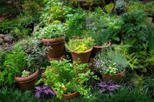 Best Herbal Garden Plants: Grow Your Own Herbs! | The Ultimate Herbal Remedies Guide: Natural Healing for a Healthier Life