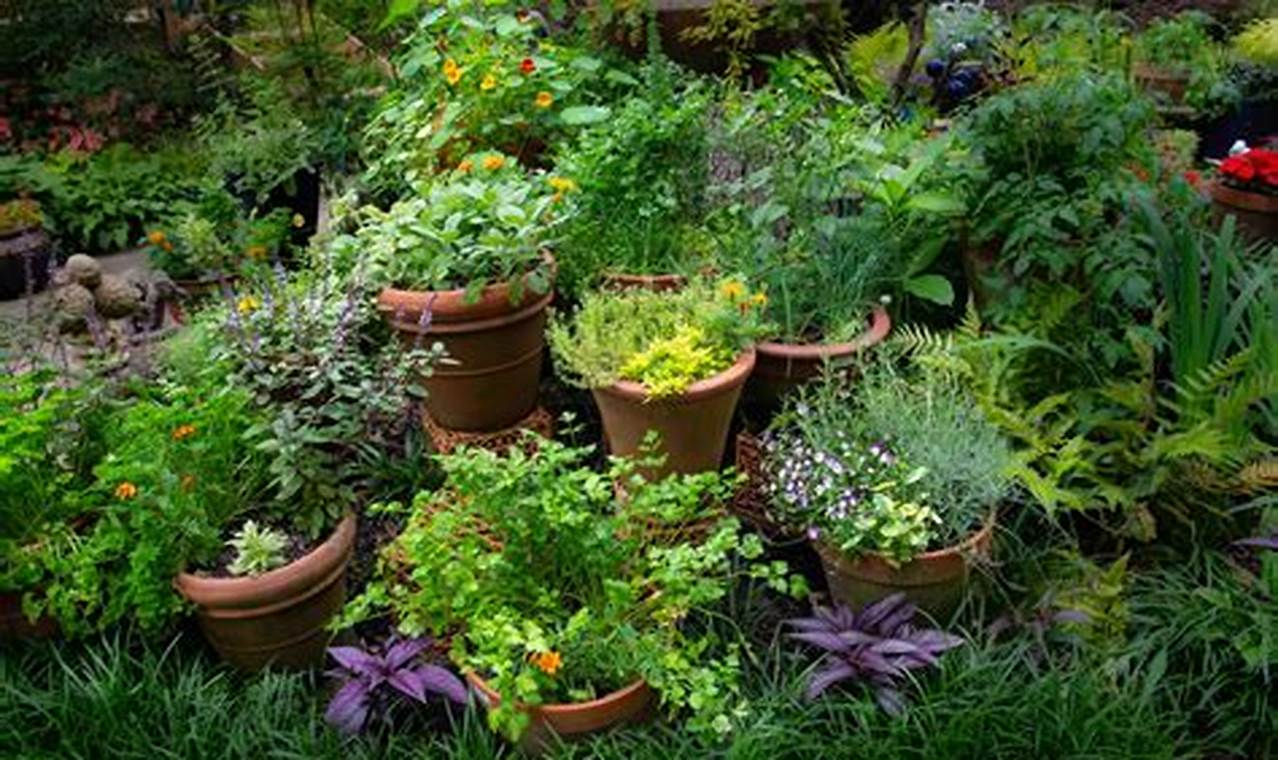 Best Herbal Garden Plants: Grow Your Own Herbs! | The Ultimate Herbal Remedies Guide: Natural Healing for a Healthier Life