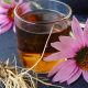 Boost Immunity: Echinacea Herbal Tea - Benefits & Uses | The Ultimate Herbal Remedies Guide: Natural Healing for a Healthier Life