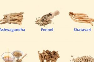 Natural Herbal Remedies for Menstrual Pain Relief | The Ultimate Herbal Remedies Guide: Natural Healing for a Healthier Life