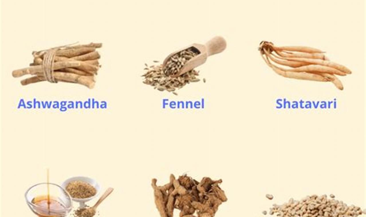 Natural Herbal Remedies for Menstrual Pain Relief | The Ultimate Herbal Remedies Guide: Natural Healing for a Healthier Life