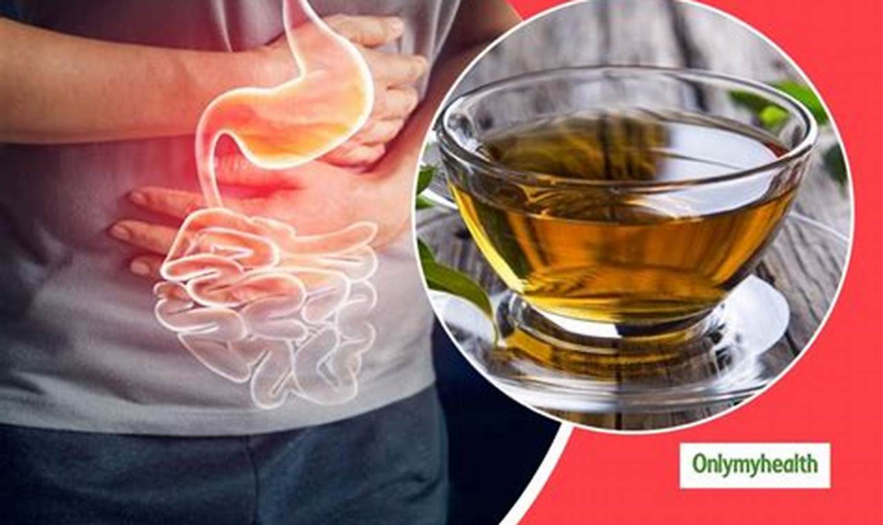 Best Herbal Tea for Indigestion Relief + Recipes | The Ultimate Herbal Remedies Guide: Natural Healing for a Healthier Life