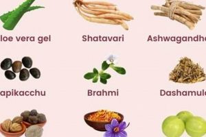 Natural Herbal Treatment for Hot Flushes: Relief Now | The Ultimate Herbal Remedies Guide: Natural Healing for a Healthier Life