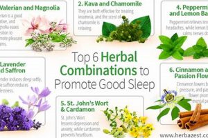 Top-Rated Best Herbal Sleep Aid: Natural Slumber Tips The Ultimate Herbal Remedies Guide: Natural Healing for a Healthier Life Top-Rated Best Herbal Sleep Aid: Natural Slumber Tips | The Ultimate Herbal Remedies Guide: Natural Healing for a Healthier Life