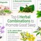 Top-Rated Best Herbal Sleep Aid: Natural Slumber Tips | The Ultimate Herbal Remedies Guide: Natural Healing for a Healthier Life
