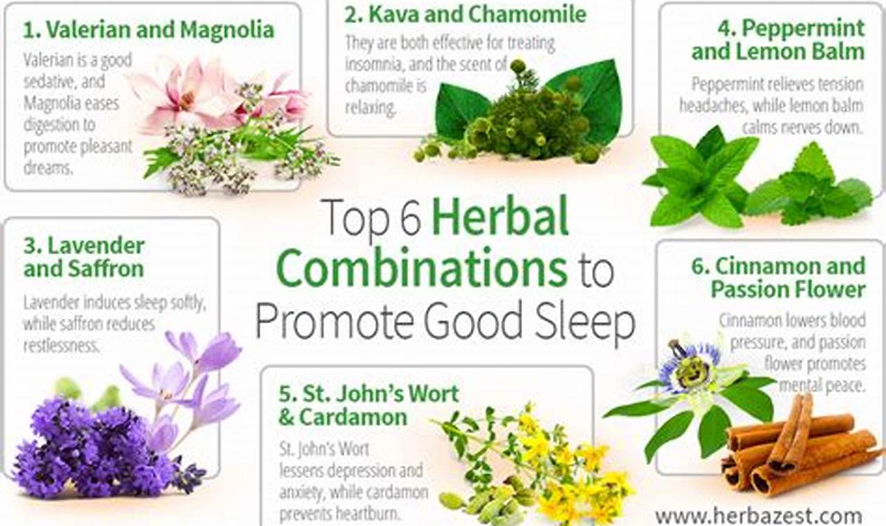 Top-Rated Best Herbal Sleep Aid: Natural Slumber Tips The Ultimate Herbal Remedies Guide: Natural Healing for a Healthier Life Top-Rated Best Herbal Sleep Aid: Natural Slumber Tips | The Ultimate Herbal Remedies Guide: Natural Healing for a Healthier Life