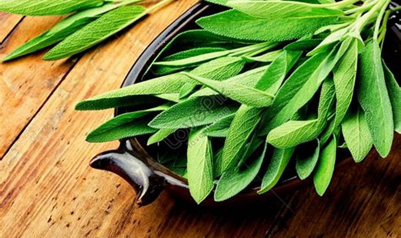 Benefits of Herbal Sage: Uses, Tips & More! The Ultimate Herbal Remedies Guide: Natural Healing for a Healthier Life Benefits of Herbal Sage: Uses, Tips & More! | The Ultimate Herbal Remedies Guide: Natural Healing for a Healthier Life