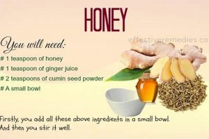 Natural Aid: High Blood Pressure Herbal Remedies Guide The Ultimate Herbal Remedies Guide: Natural Healing for a Healthier Life Natural Aid: High Blood Pressure Herbal Remedies Guide | The Ultimate Herbal Remedies Guide: Natural Healing for a Healthier Life