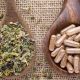 A Deep Dive into the History of Herbal Supplements Today | The Ultimate Herbal Remedies Guide: Natural Healing for a Healthier Life