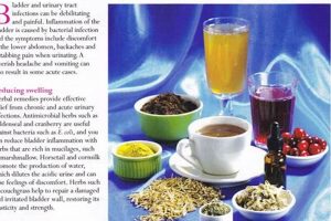 Natural Herbal Remedies for Bladder Infection Relief | The Ultimate Herbal Remedies Guide: Natural Healing for a Healthier Life