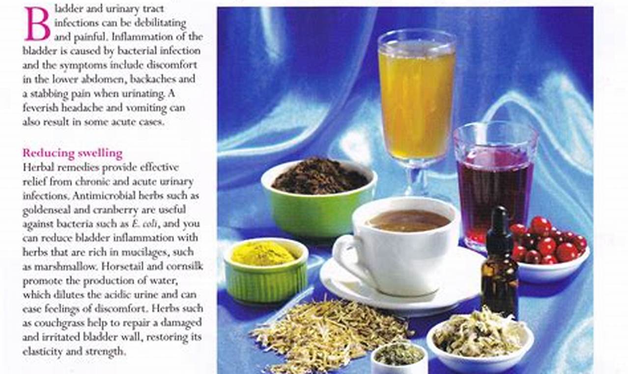 Natural Herbal Remedies for Bladder Infection Relief | The Ultimate Herbal Remedies Guide: Natural Healing for a Healthier Life