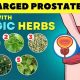 Natural: Herbal Treatment for Prostate Enlargement Relief | The Ultimate Herbal Remedies Guide: Natural Healing for a Healthier Life