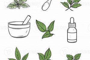 Unlock Nature's Power: Herbal Elements & Their Benefits The Ultimate Herbal Remedies Guide: Natural Healing for a Healthier Life Unlock Nature's Power: Herbal Elements & Their Benefits | The Ultimate Herbal Remedies Guide: Natural Healing for a Healthier Life