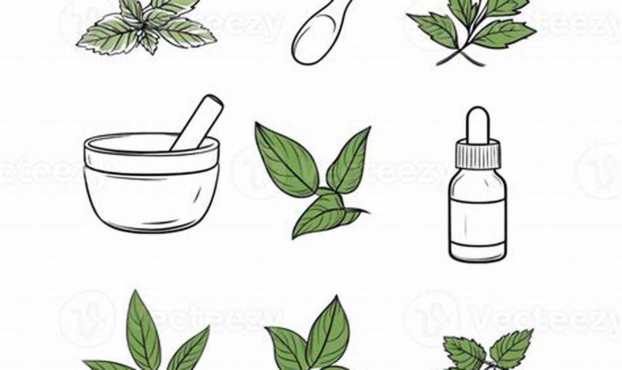 Unlock Nature's Power: Herbal Elements & Their Benefits | The Ultimate Herbal Remedies Guide: Natural Healing for a Healthier Life