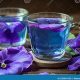 Best Purple Flower Herbal Tea: Benefits &amp; Recipes | The Ultimate Herbal Remedies Guide: Natural Healing for a Healthier Life