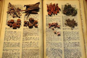 Unlock Ancient Herbal Remedies' Secrets + Benefits The Ultimate Herbal Remedies Guide: Natural Healing for a Healthier Life Unlock Ancient Herbal Remedies' Secrets + Benefits | The Ultimate Herbal Remedies Guide: Natural Healing for a Healthier Life