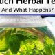 Risks of Too Much Herbal Tea? Side Effects Revealed! | The Ultimate Herbal Remedies Guide: Natural Healing for a Healthier Life