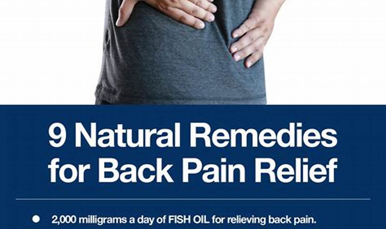 Natural Relief: Herbal Remedies for Back Pain Now The Ultimate Herbal Remedies Guide: Natural Healing for a Healthier Life Natural Relief: Herbal Remedies for Back Pain Now | The Ultimate Herbal Remedies Guide: Natural Healing for a Healthier Life