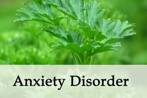 Natural Herbal Treatment for Anxiety &amp; Relief | The Ultimate Herbal Remedies Guide: Natural Healing for a Healthier Life