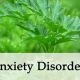 Natural Herbal Treatment for Anxiety &amp; Relief | The Ultimate Herbal Remedies Guide: Natural Healing for a Healthier Life