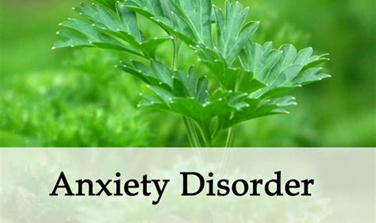 Natural Herbal Treatment for Anxiety &amp; Relief | The Ultimate Herbal Remedies Guide: Natural Healing for a Healthier Life