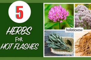 Natural Herbal Remedy for Hot Flashes Relief Tips | The Ultimate Herbal Remedies Guide: Natural Healing for a Healthier Life