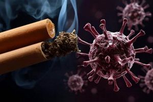Herbals: Do Herbal Cigarettes Cause Cancer? Facts! | The Ultimate Herbal Remedies Guide: Natural Healing for a Healthier Life