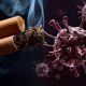 Herbals: Do Herbal Cigarettes Cause Cancer? Facts! | The Ultimate Herbal Remedies Guide: Natural Healing for a Healthier Life
