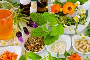 Natural Herbal Treatment for Cancer: Benefits & Risks | The Ultimate Herbal Remedies Guide: Natural Healing for a Healthier Life