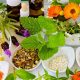 Natural Herbal Treatment for Cancer: Benefits & Risks | The Ultimate Herbal Remedies Guide: Natural Healing for a Healthier Life
