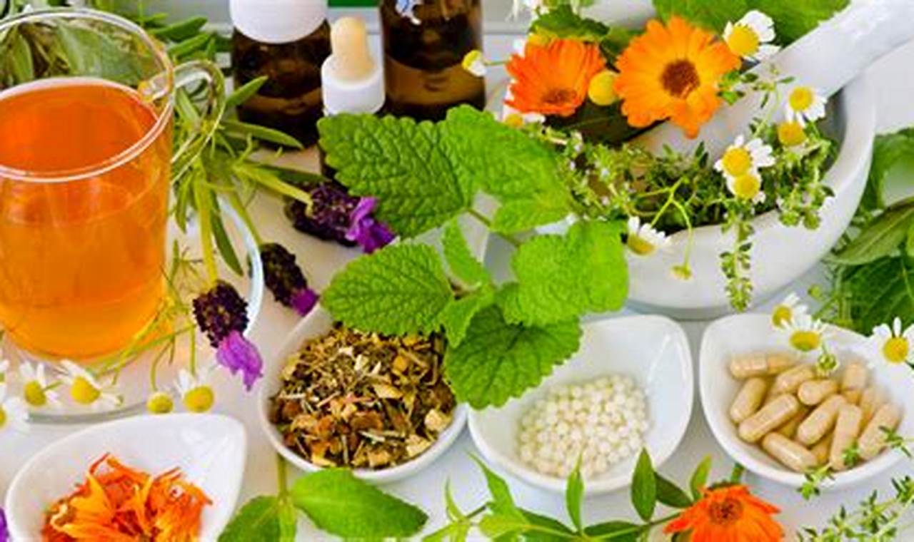 Natural Herbal Treatment for Cancer: Benefits & Risks | The Ultimate Herbal Remedies Guide: Natural Healing for a Healthier Life