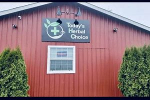 Your Herbal Solution: Today's Herbal Choice Stayton LLC | The Ultimate Herbal Remedies Guide: Natural Healing for a Healthier Life