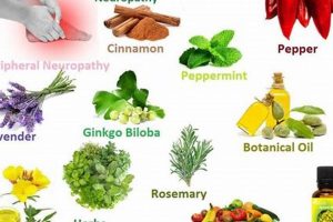 Natural Herbal Treatment for Neuropathy in Feet Relief! | The Ultimate Herbal Remedies Guide: Natural Healing for a Healthier Life