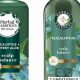 Best Herbal Shampoo & Conditioner: Natural Hair Care | The Ultimate Herbal Remedies Guide: Natural Healing for a Healthier Life