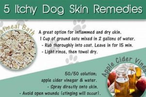 Natural Herbal Remedies for Dogs with Itchy Skin Relief The Ultimate Herbal Remedies Guide: Natural Healing for a Healthier Life Natural Herbal Remedies for Dogs with Itchy Skin Relief | The Ultimate Herbal Remedies Guide: Natural Healing for a Healthier Life