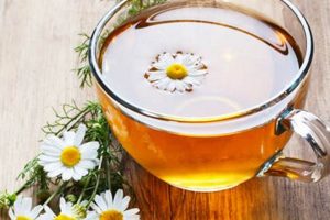 Herbal Tea Guide: Is Chamomile Tea Really an Herbal Tea? The Ultimate Herbal Remedies Guide: Natural Healing for a Healthier Life Herbal Tea Guide: Is Chamomile Tea Really an Herbal Tea? | The Ultimate Herbal Remedies Guide: Natural Healing for a Healthier Life