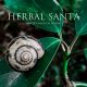 The Herbal Santa: Your Botanical Wellness Guide | The Ultimate Herbal Remedies Guide: Natural Healing for a Healthier Life