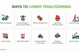 Herbs to Lower Triglycerides: Natural Remedies Guide The Ultimate Herbal Remedies Guide: Natural Healing for a Healthier Life Herbs to Lower Triglycerides: Natural Remedies Guide | The Ultimate Herbal Remedies Guide: Natural Healing for a Healthier Life