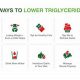 Herbs to Lower Triglycerides: Natural Remedies Guide | The Ultimate Herbal Remedies Guide: Natural Healing for a Healthier Life