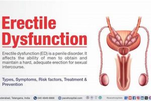 Natural Herbal Treatment for ED: Problems & Solutions The Ultimate Herbal Remedies Guide: Natural Healing for a Healthier Life Natural Herbal Treatment for ED: Problems & Solutions | The Ultimate Herbal Remedies Guide: Natural Healing for a Healthier Life