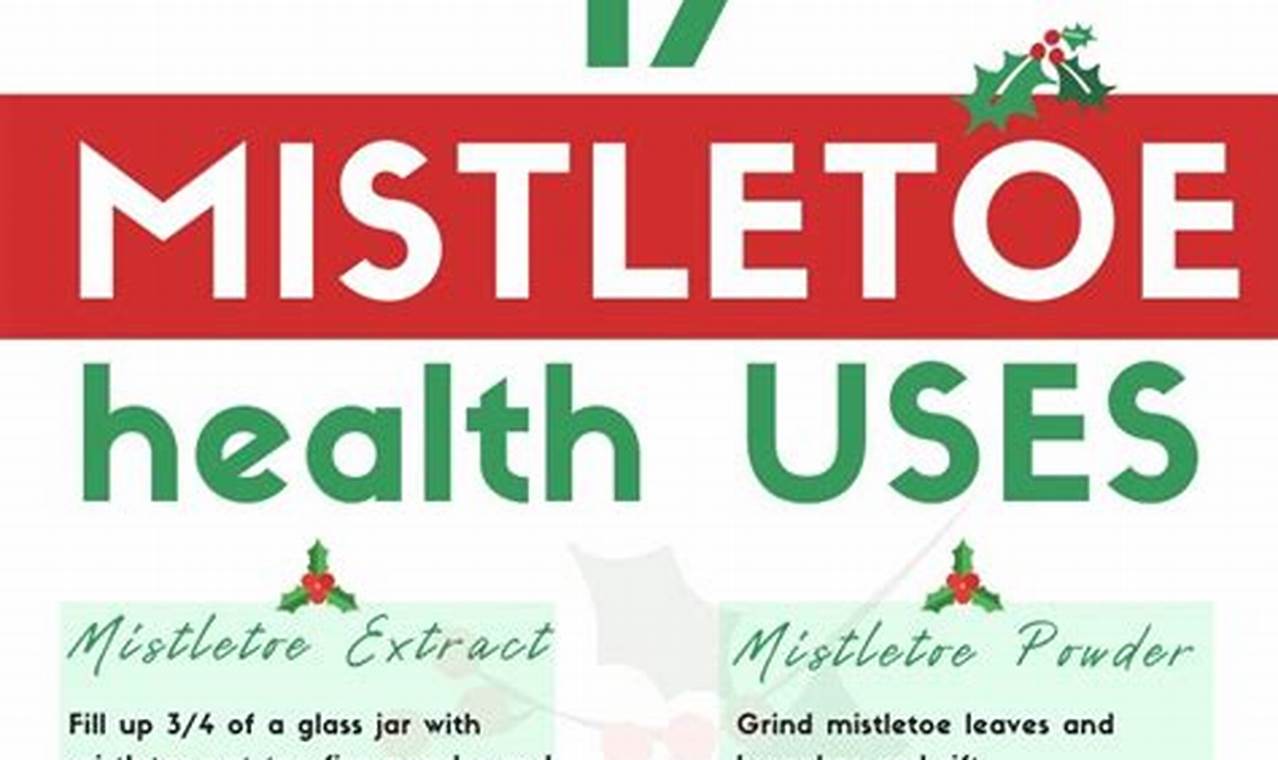 A Guide to Mistletoe Herbal Uses: Benefits & Risks The Ultimate Herbal Remedies Guide: Natural Healing for a Healthier Life A Guide to Mistletoe Herbal Uses: Benefits & Risks | The Ultimate Herbal Remedies Guide: Natural Healing for a Healthier Life