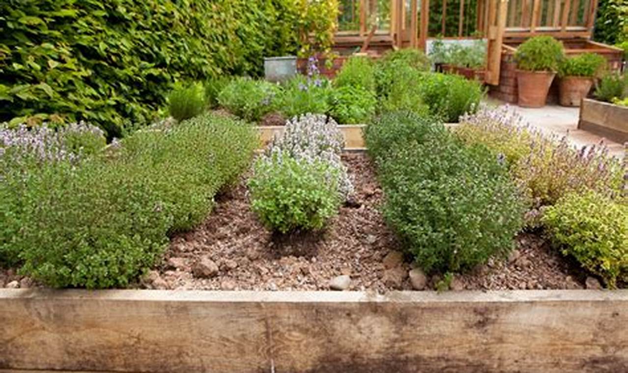 Explore Herbal Garden Images: Inspiration & Beauty The Ultimate Herbal Remedies Guide: Natural Healing for a Healthier Life Explore Herbal Garden Images: Inspiration & Beauty | The Ultimate Herbal Remedies Guide: Natural Healing for a Healthier Life