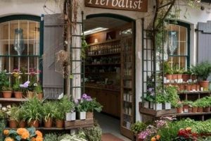 Learn Herbals: Free Herbalism Courses Online & More The Ultimate Herbal Remedies Guide: Natural Healing for a Healthier Life Learn Herbals: Free Herbalism Courses Online & More | The Ultimate Herbal Remedies Guide: Natural Healing for a Healthier Life