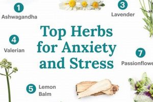 Natural Herbal Treatment for Anxiety Relief The Ultimate Herbal Remedies Guide: Natural Healing for a Healthier Life Natural Herbal Treatment for Anxiety Relief | The Ultimate Herbal Remedies Guide: Natural Healing for a Healthier Life