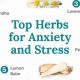 Natural Herbal Treatment for Anxiety Relief | The Ultimate Herbal Remedies Guide: Natural Healing for a Healthier Life
