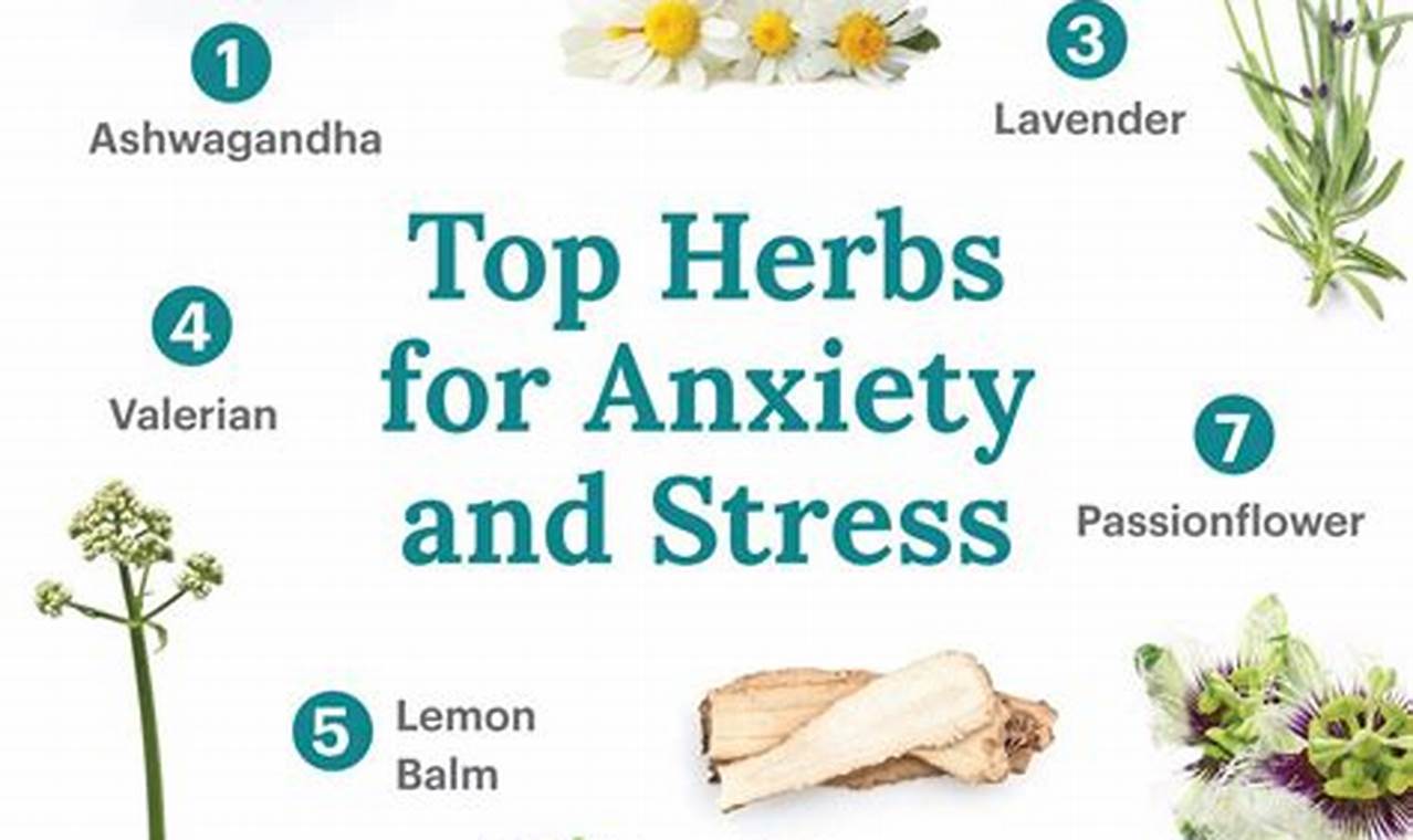 Natural Herbal Treatment for Anxiety Relief The Ultimate Herbal Remedies Guide: Natural Healing for a Healthier Life Natural Herbal Treatment for Anxiety Relief | The Ultimate Herbal Remedies Guide: Natural Healing for a Healthier Life