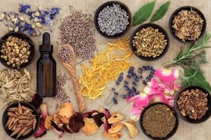 Natural Boost: Herbal Remedies for ADD Focus + Calm | The Ultimate Herbal Remedies Guide: Natural Healing for a Healthier Life