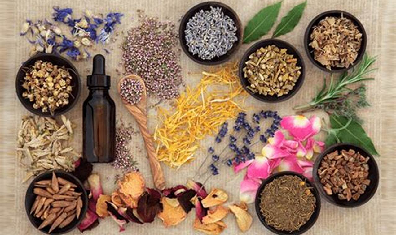 Natural Boost: Herbal Remedies for ADD Focus + Calm | The Ultimate Herbal Remedies Guide: Natural Healing for a Healthier Life