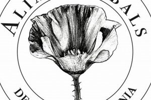 Decoding Alias Herbals: Hidden Herbal Remedies The Ultimate Herbal Remedies Guide: Natural Healing for a Healthier Life Decoding Alias Herbals: Hidden Herbal Remedies | The Ultimate Herbal Remedies Guide: Natural Healing for a Healthier Life