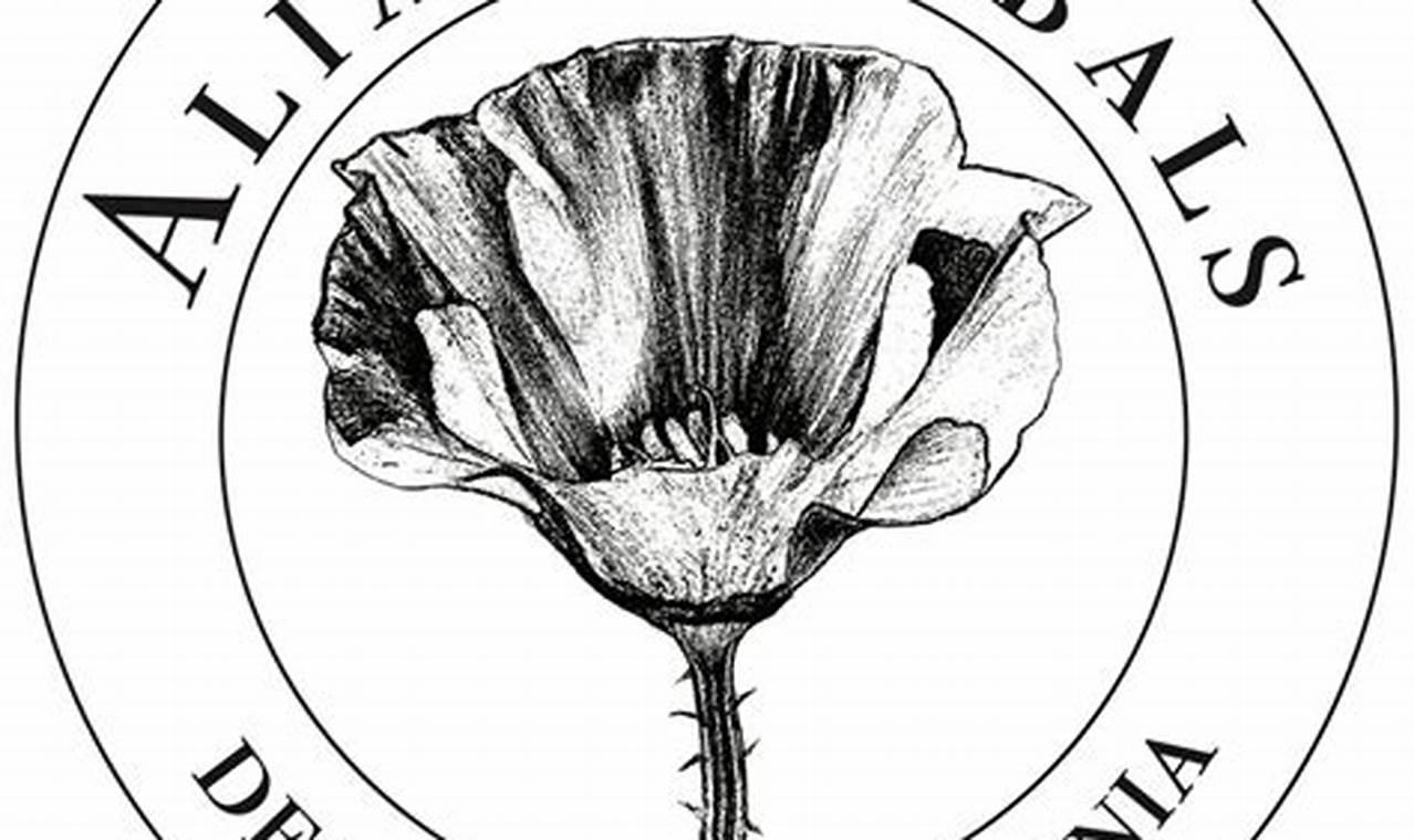 Decoding Alias Herbals: Hidden Herbal Remedies The Ultimate Herbal Remedies Guide: Natural Healing for a Healthier Life Decoding Alias Herbals: Hidden Herbal Remedies | The Ultimate Herbal Remedies Guide: Natural Healing for a Healthier Life